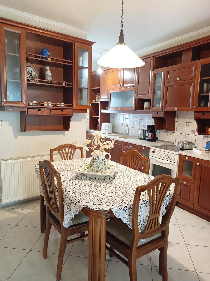 Vintage Central House Καλαμπάκα Εξωτερικό φωτογραφία